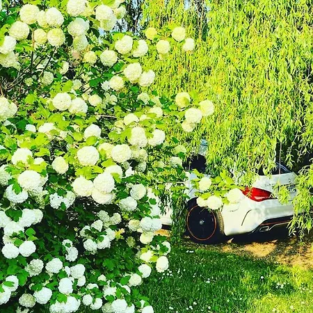 Dans Maison Avec Cour Et Parc *