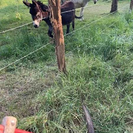 Dans Maison Avec Cour Et Parc * Fresnes-en-Woevre