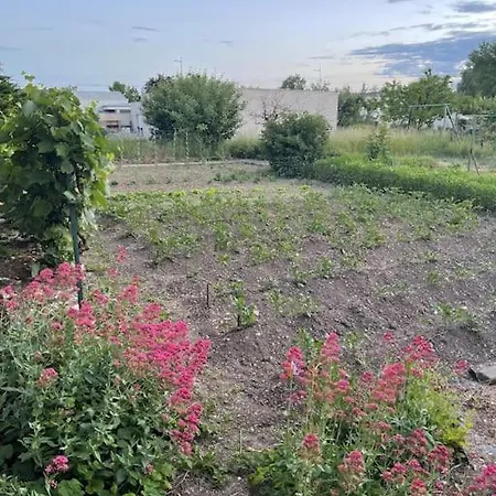 דירה Dans Maison Avec Cour Et Parc Fresnes-en-Woevre