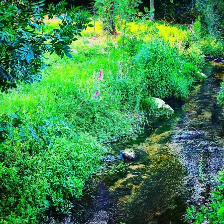 Dans Maison Avec Cour Et Parc